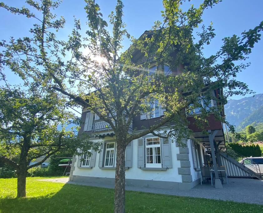 Chalet Mignon - Your Vacation Oasis At Lake Brienz Bönigen Extérieur photo